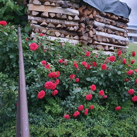 Appartamento Dreamlandranch Vorarlberg Schlins Esterno foto